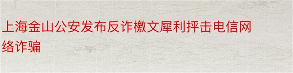 上海金山公安发布反诈檄文犀利抨击电信网络诈骗