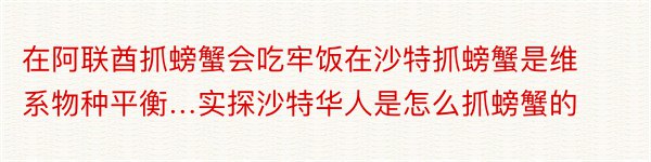 在阿联酋抓螃蟹会吃牢饭在沙特抓螃蟹是维系物种平衡…实探沙特华人是怎么抓螃蟹的